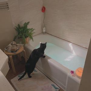 欧美人与马性交
