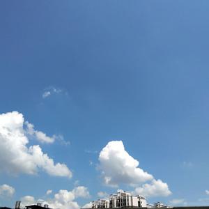 欧美人与马性交
