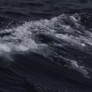 欧美人与马性交
